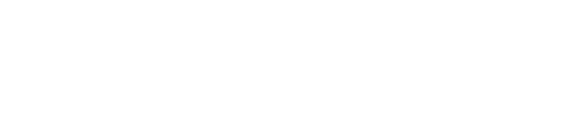 Hollyland